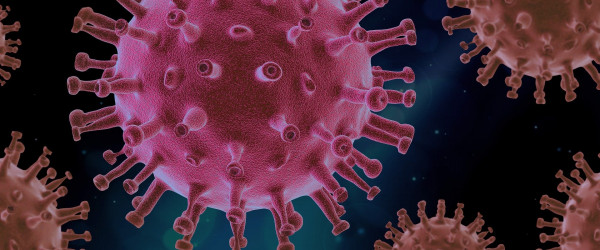Coronavirus (Quelle: Bild von Pixabay )